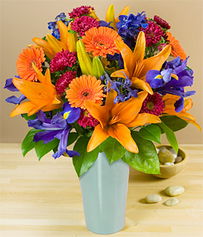 美国proflowers网站花卉植物 礼品卡片653P